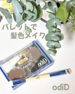 パレットで髪色メイク